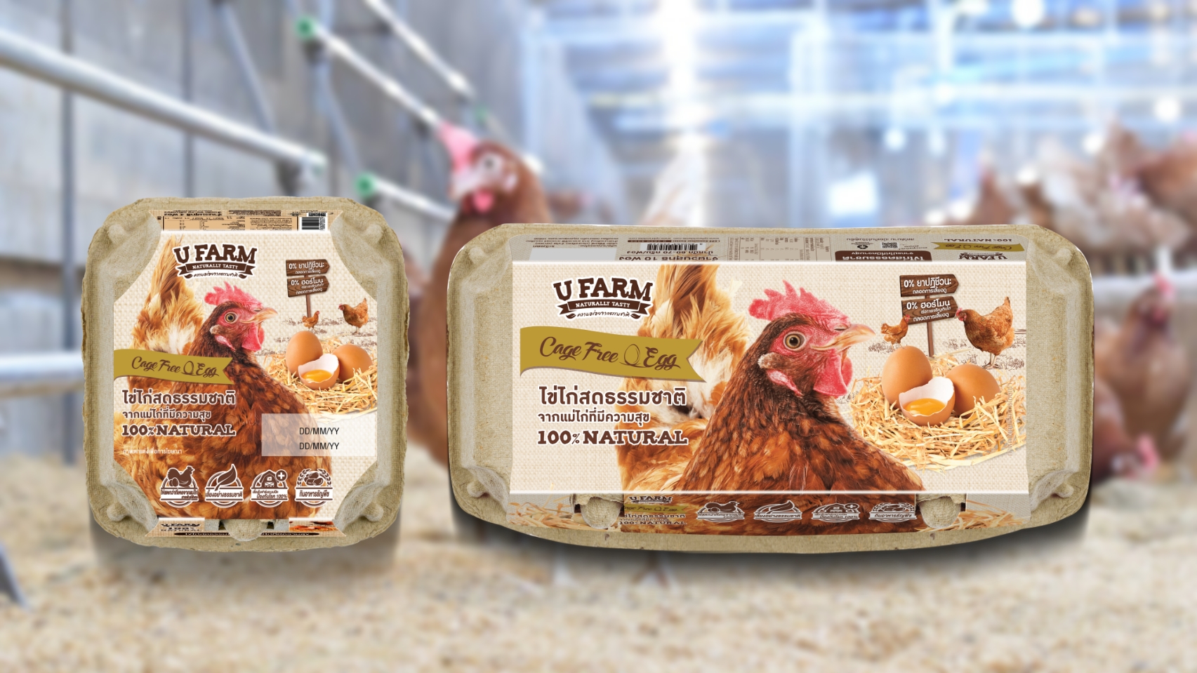 ซีพีเอฟ นำ ไข่ไก่ Cage Free รับ “ฉลากคาร์บอนนิวทรัล” เป็นรายแรกของภูมิภาคเอเชีย เพิ่มทางเลือกคนไทยได้บริโภคไข่ไก่สด CP ช่วยลดโลกร้อน